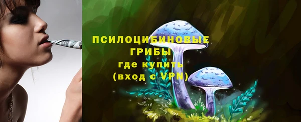 ECSTASY Абинск