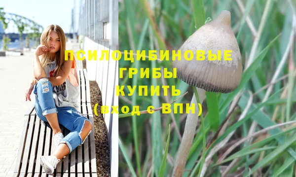 метадон Абаза