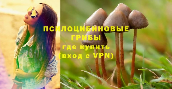 метадон Абаза