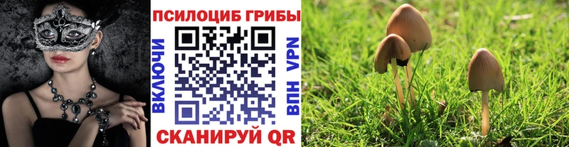 Галлюциногенные грибы Cubensis  купить наркоту  Трубчевск 